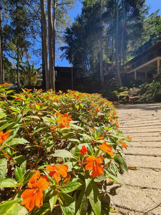Recanto Dos Sonhos Guest House Lumiar Exterior photo